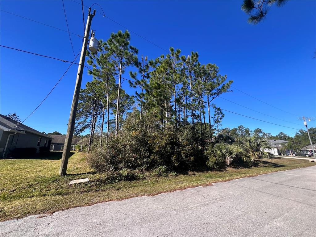A utility pole stands beside a wooded lot next to a residential street — 7 SEVILLE PLACE, PALM COAST, FL
