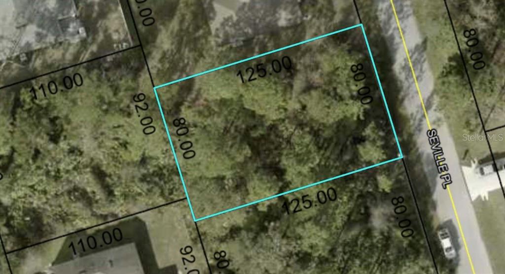 This is an aerial map showing the property boundaries of a rectangular vacant lot — 7 SEVILLE PLACE, PALM COAST, FL