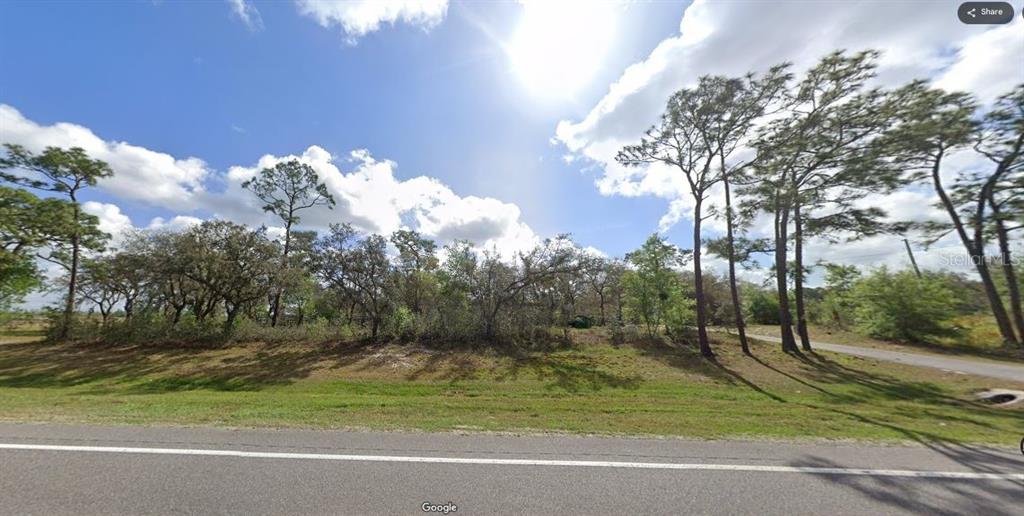 A view of a grassy, wooded vacant lot along a paved road under a sunny sky — COMMONWEALTH AVENUE N, POLK CITY, FL