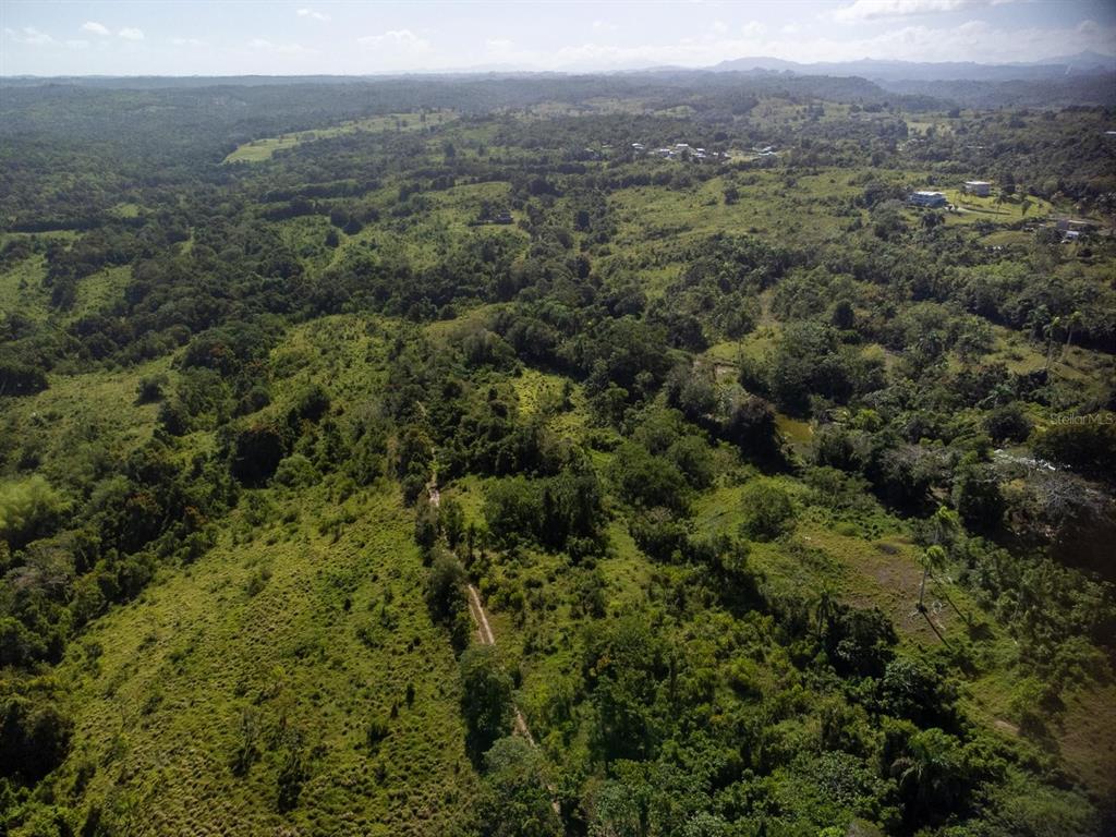 An aerial view shows a vast, hilly landscape covered in dense green vegetation and trees — Carr 119 INT. 448 KM 3.7 ROAD, SAN SEBASTIAN, PR