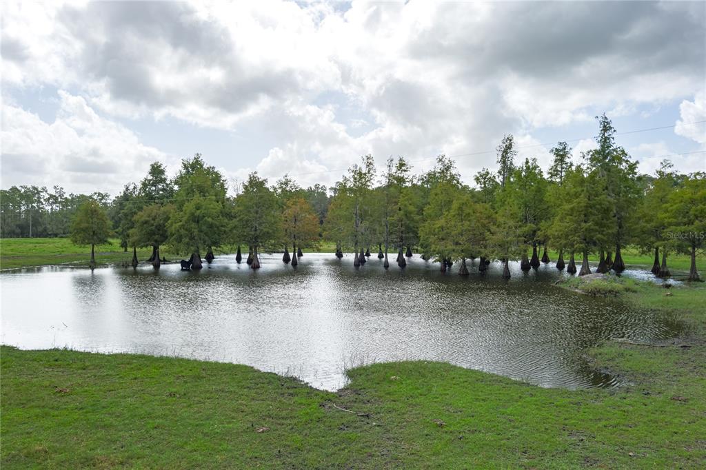 1126 COUNTY ROAD 665, ONA, FL — photo 4 of 30