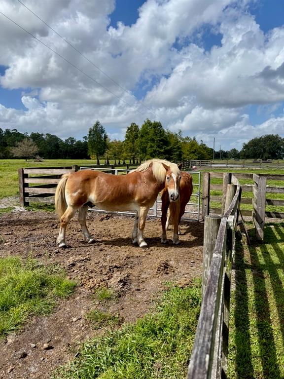 1126 COUNTY ROAD 665, ONA, FL — photo 5 of 30