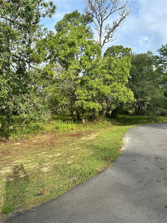 A paved road curves alongside a grassy lot filled with trees and foliage — 2 BARKWOOD POINT, HOMOSASSA, FL