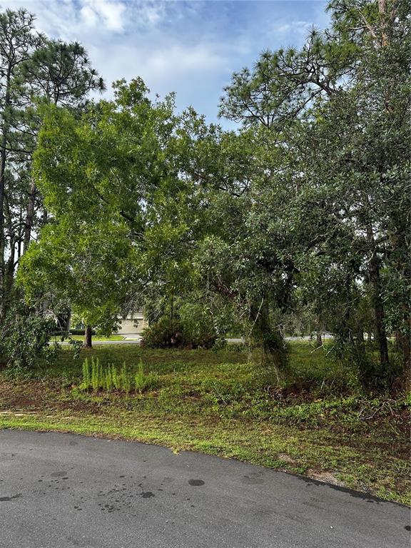 A vacant, wooded lot with mature trees and grass sits along a paved road — 2 BARKWOOD POINT, HOMOSASSA, FL