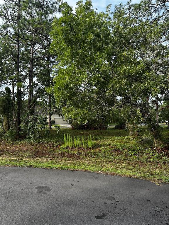 A view of a grassy, wooded vacant lot from an adjacent paved road — 2 BARKWOOD POINT, HOMOSASSA, FL