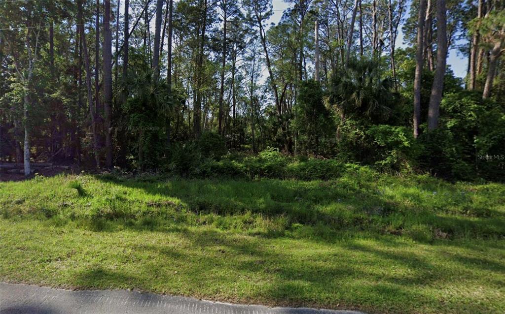 A grassy, undeveloped lot is bordered by a dense forest of tall pine trees — 731 PARADISE BOULEVARD, GEORGETOWN, FL