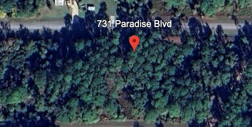 This is a satellite map view of a wooded, undeveloped residential lot — 731 PARADISE BOULEVARD, GEORGETOWN, FL