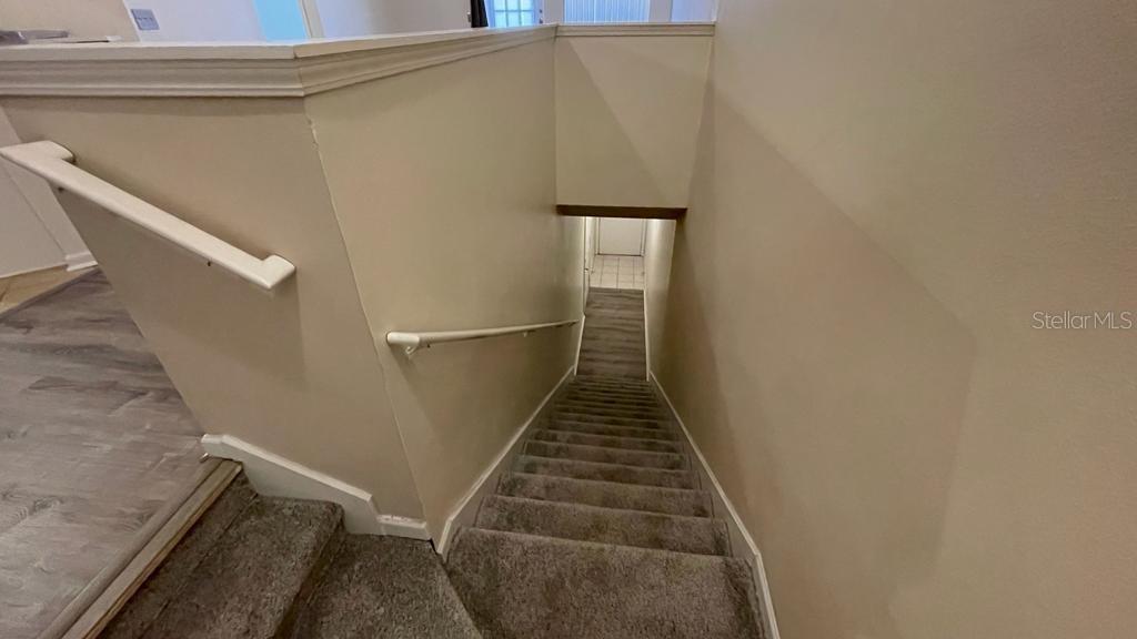 A carpeted staircase leads downward between two beige walls with white handrails — 10539 VILLA VIEW CIRCLE UNIT 10539, TAMPA, FL