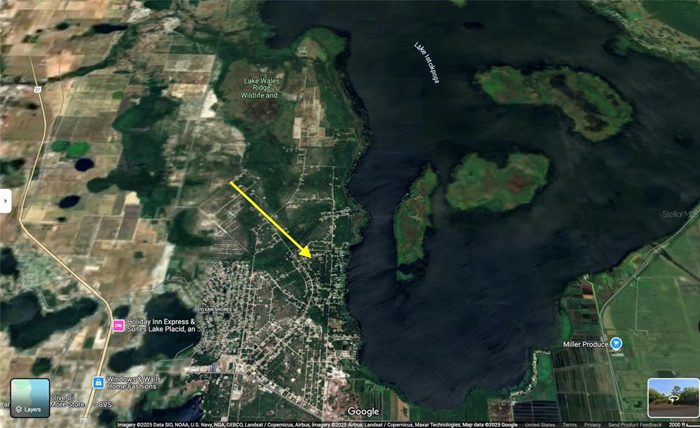 This is a satellite map view showing a residential area near Lake Istokpoga — 458 BRAWIN AVENUE, LAKE PLACID, FL