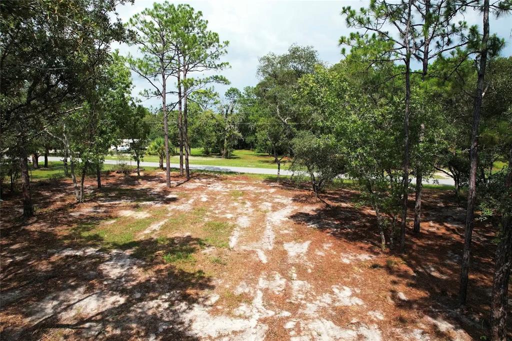 An elevated view of a sandy, wooded residential lot with tall pine trees and vegetation — 4546 S EVERGREEN AVENUE, HOMOSASSA, FL