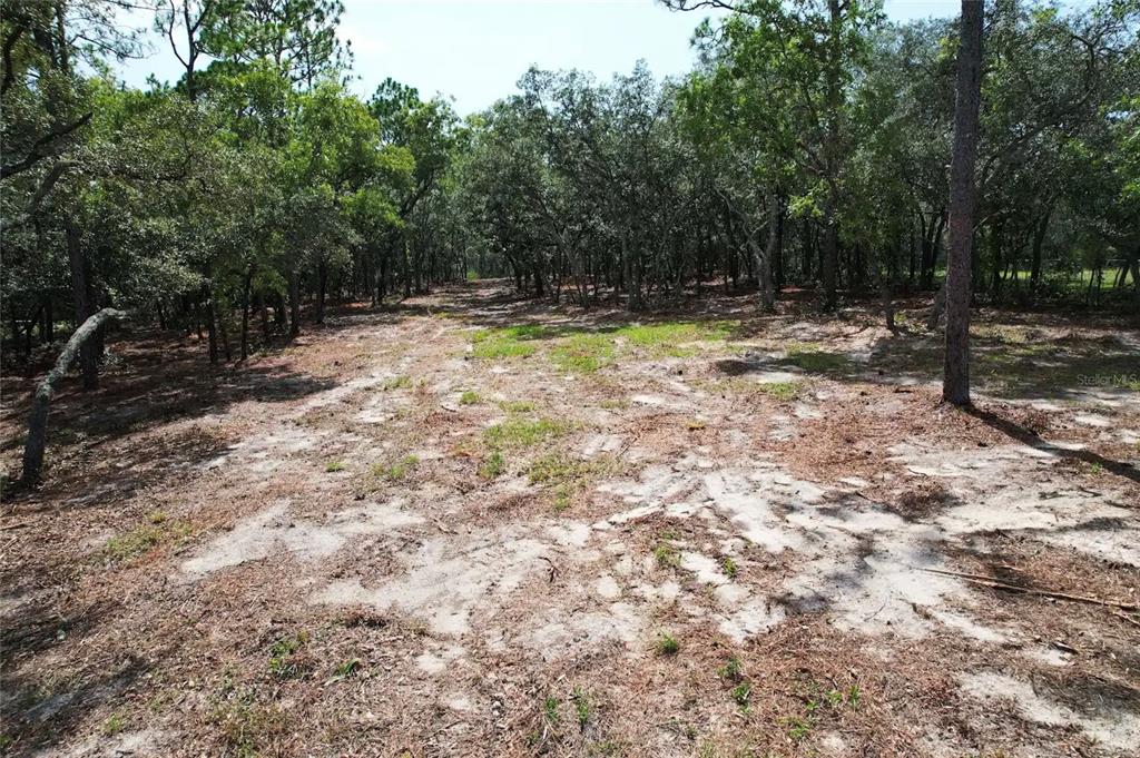 A cleared, sandy path leads through a wooded area with mature trees — 4546 S EVERGREEN AVENUE, HOMOSASSA, FL