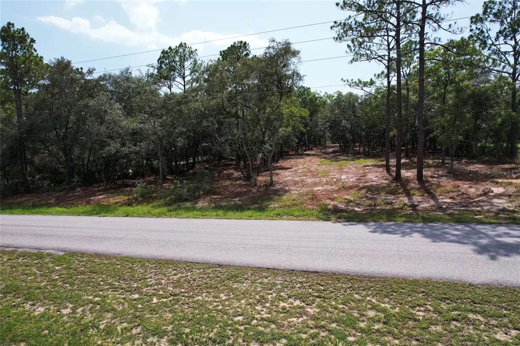 An elevated view of a vacant, wooded lot bordering a paved road — 4546 S EVERGREEN AVENUE, HOMOSASSA, FL