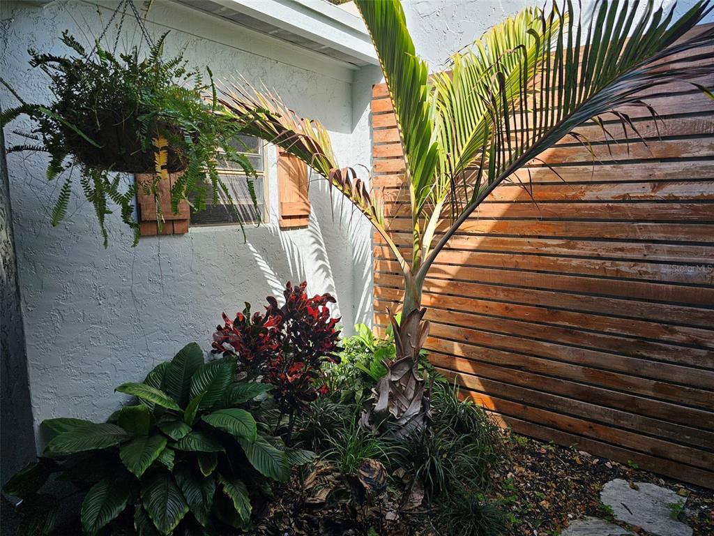 A palm tree and various plants grow in a garden bed beside a wooden fence — 6147 43RD STREET W, BRADENTON, FL