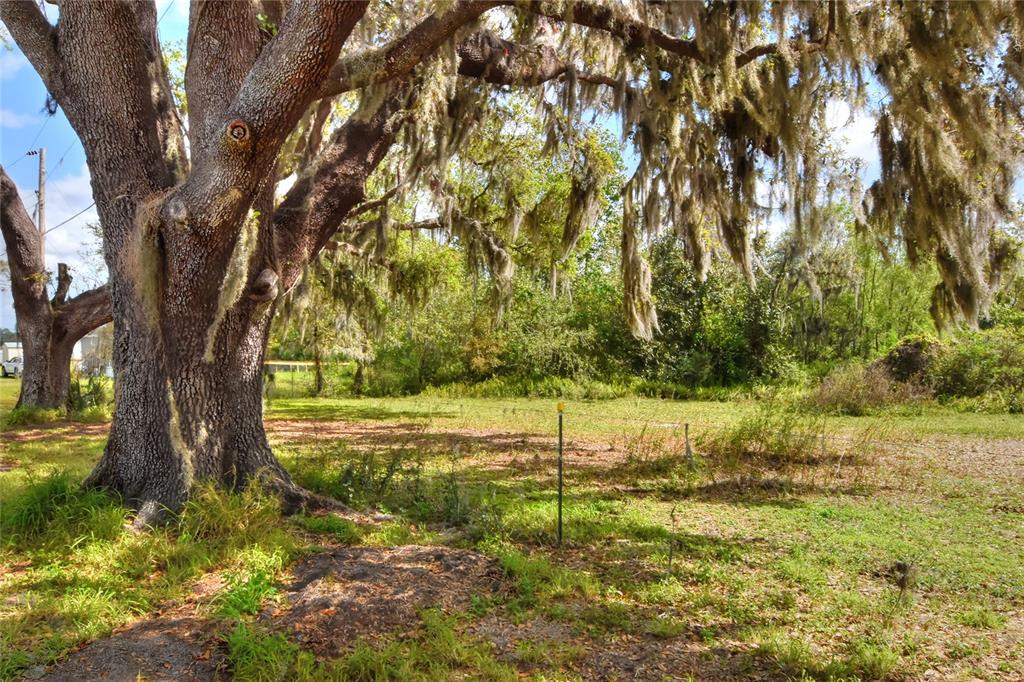 0 ARMOR ROAD, PLANT CITY, FL — photo 5 of 7