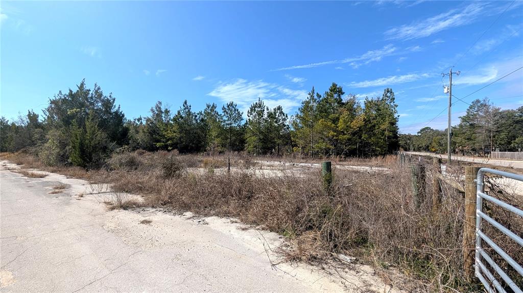 A vacant, fenced lot with dry vegetation and trees sits beside a paved road — 13550 NW OLD FANNIN ROAD, CHIEFLAND, FL
