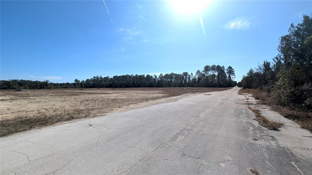 A paved road runs alongside a large, cleared, grassy lot bordered by a line of trees — 13550 NW OLD FANNIN ROAD, CHIEFLAND, FL