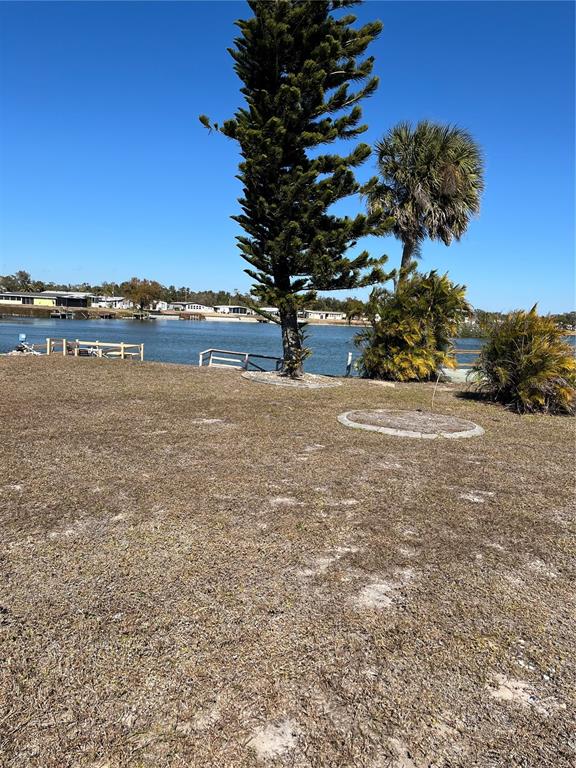 A grassy yard overlooks a canal with a tall pine tree and a palm tree — 2820 PENGUIN LANE, ENGLEWOOD, FL