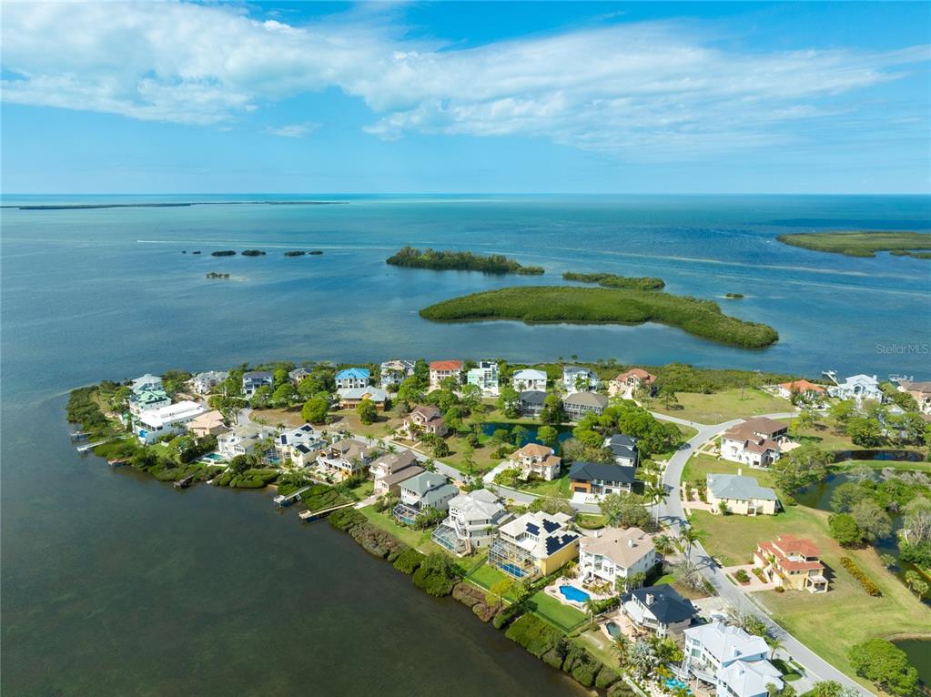 An aerial view shows a coastal neighborhood with houses situated along a mangrove-lined shoreline — HARBOUR WATCH CIRCLE, TARPON SPRINGS, FL