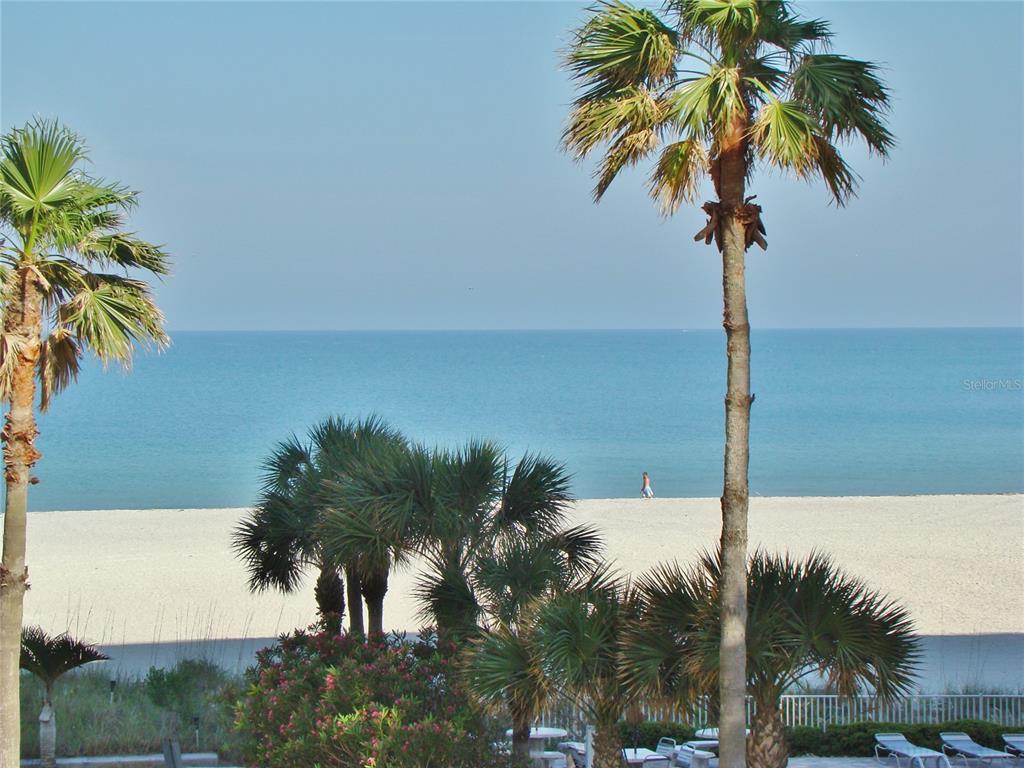 A view of a sandy beach and ocean framed by palm trees from an elevated perspective — 1380 GULF BOULEVARD UNIT 206, CLEARWATER, FL