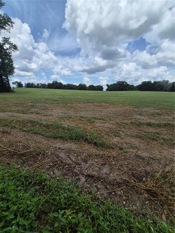 A wide, grassy field under a cloudy blue sky with a line of trees — 8748 NE JACKSONVILLE ROAD, ANTHONY, FL