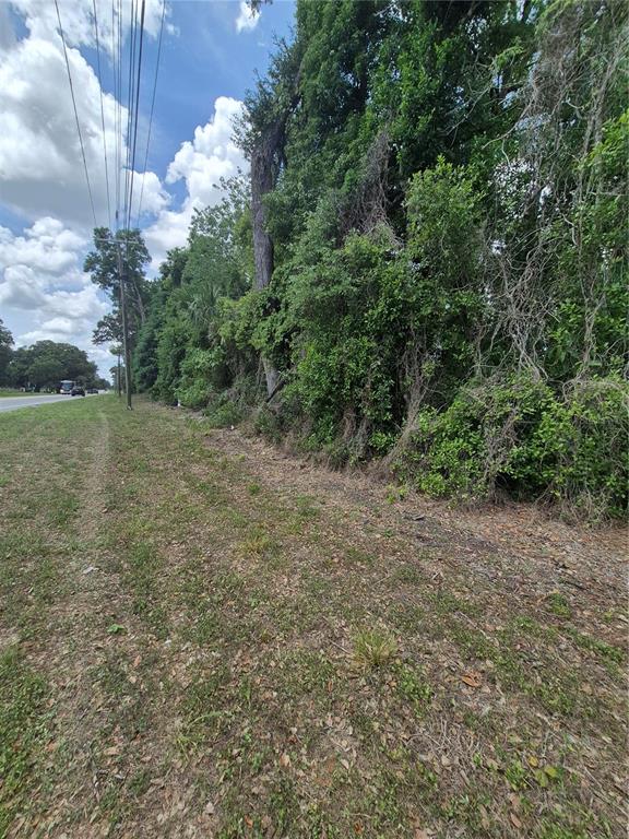 A grassy roadside area borders a dense line of trees and utility poles — 8748 NE JACKSONVILLE ROAD, ANTHONY, FL
