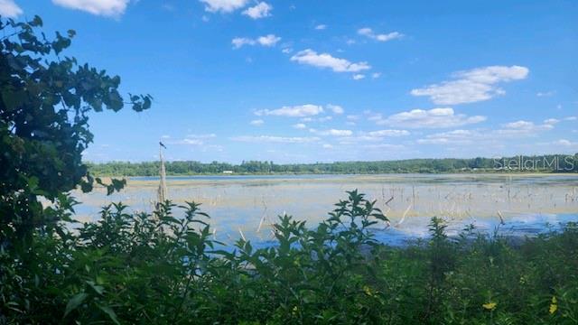 A view of a lake with scattered dead trees under a blue sky with clouds — 17700 LAKE IOLA ROAD, DADE CITY, FL
