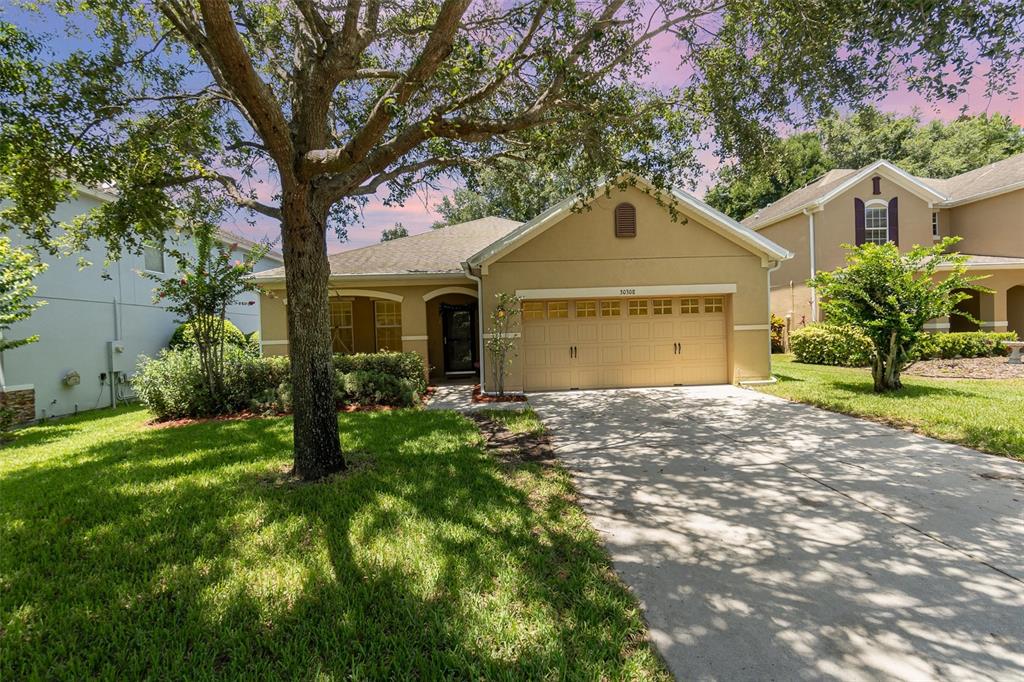 30308 CHEVAL STREET, MOUNT DORA, FL — photo 2 of 30