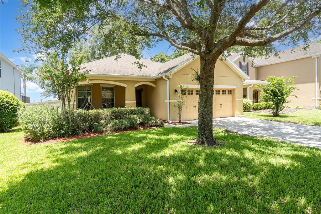 30308 CHEVAL STREET, MOUNT DORA, FL — photo 3 of 30