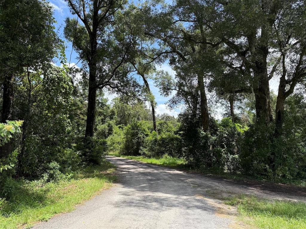 A narrow paved road winds through a dense, tree-lined forest under a bright blue sky — US HWY 27, FORT WHITE, FL