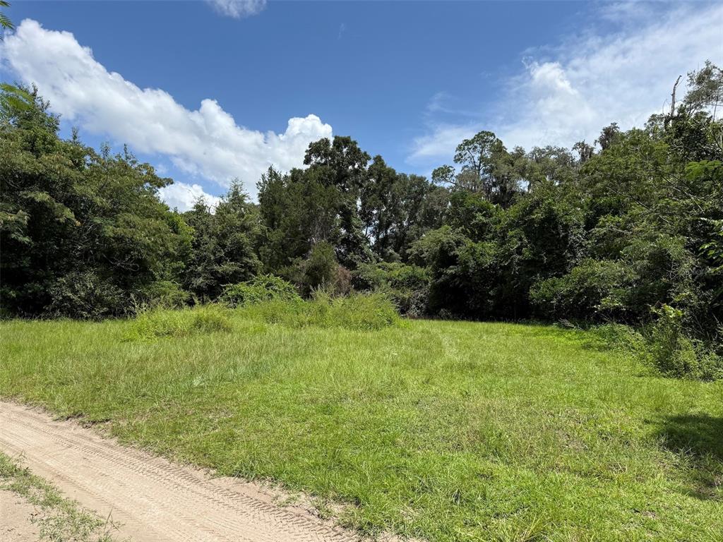 A grassy, undeveloped lot bordered by dense trees under a blue sky with clouds — US HWY 27, FORT WHITE, FL