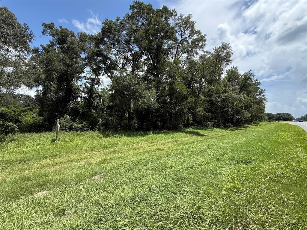 A grassy field sits in front of a dense line of mature trees — US HWY 27, FORT WHITE, FL