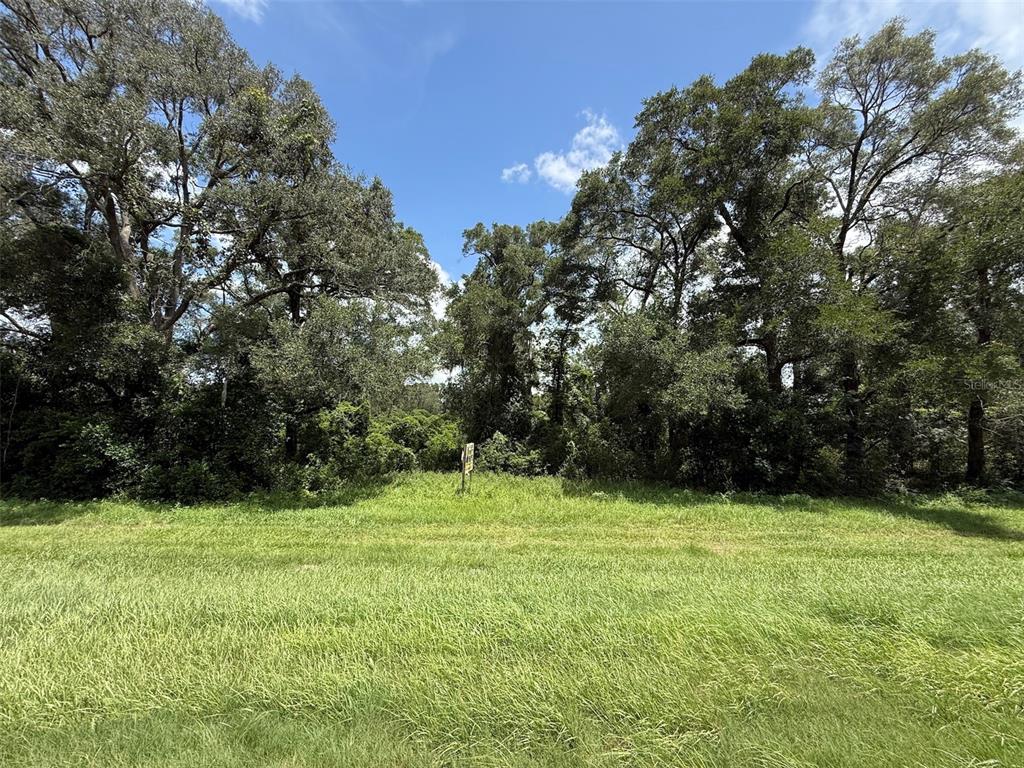 A grassy, open lot is bordered by a dense line of mature trees — US HWY 27, FORT WHITE, FL