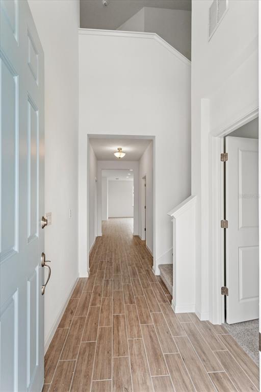 An entryway with wood-look tile flooring leads to a hallway with a high ceiling — 13404 PEACEFUL MELODY DRIVE, WINTER GARDEN, FL