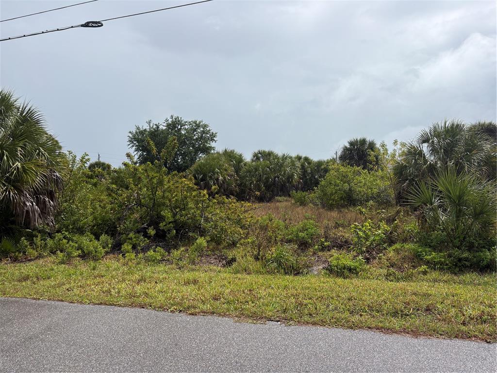 A vacant, overgrown lot with trees and shrubs sits beside a paved road — 9444 MIGUE CIRCLE, PORT CHARLOTTE, FL