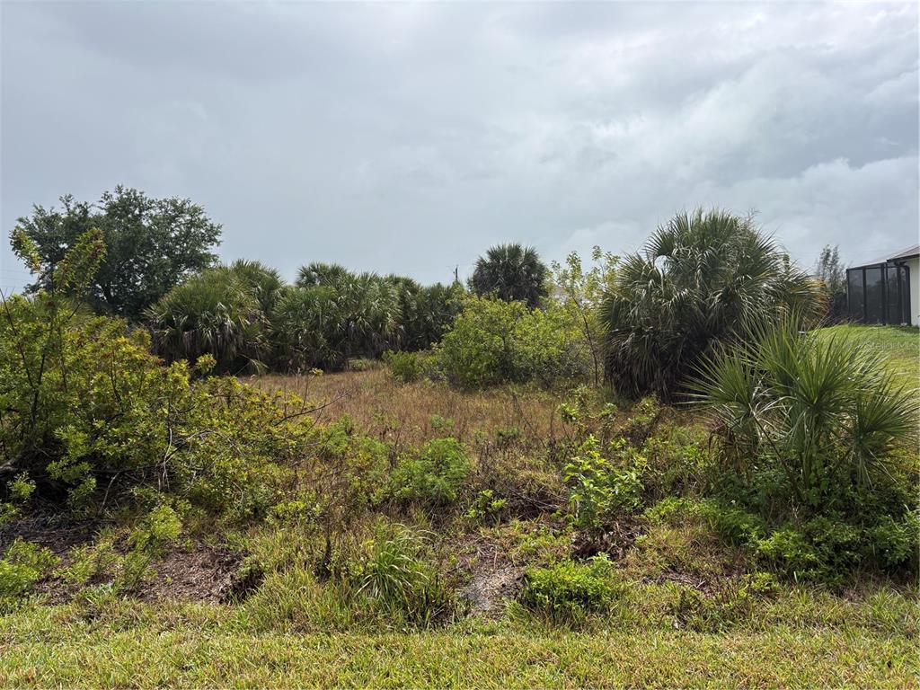 An overgrown vacant lot features various shrubs, palm trees, and grasses under a cloudy sky — 9444 MIGUE CIRCLE, PORT CHARLOTTE, FL