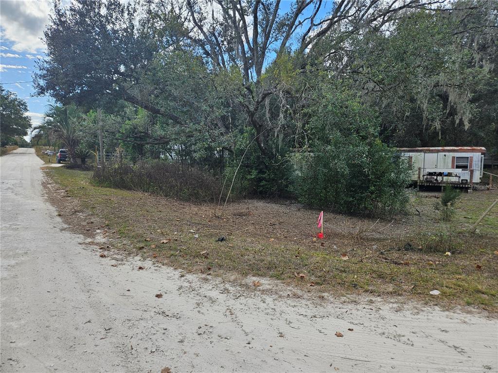 15950 NE 4TH PLACE, WILLISTON, FL — photo 4 of 5