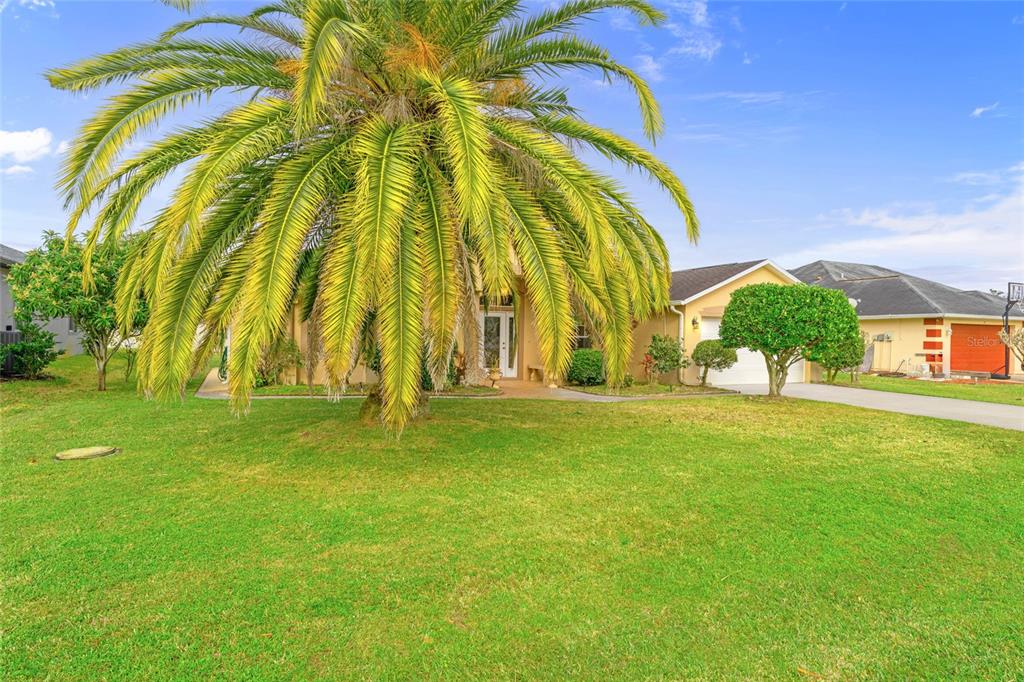 A large palm tree stands in the front yard of a single-story suburban house — 16 LONDON DRIVE, PALM COAST, FL