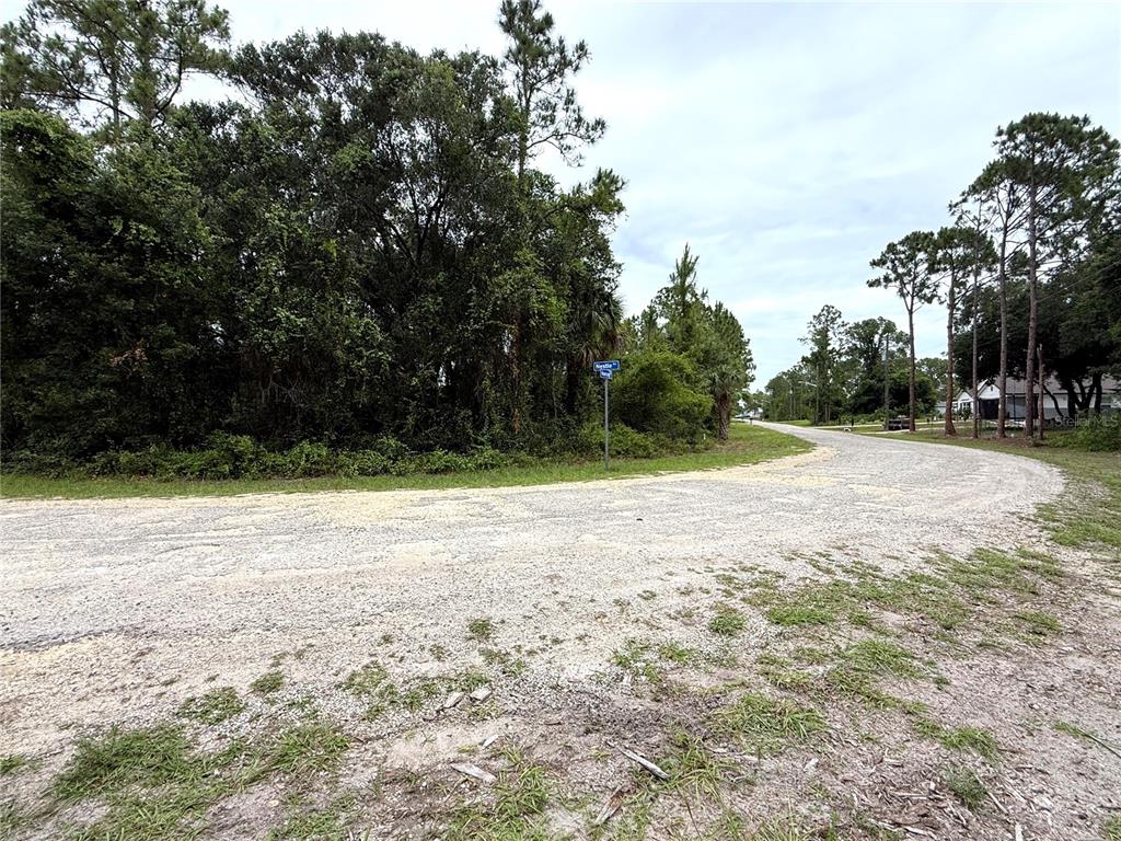 A gravel road intersection is bordered by dense trees and a blue street sign — 368 NESTLE AVENUE, LEHIGH ACRES, FL