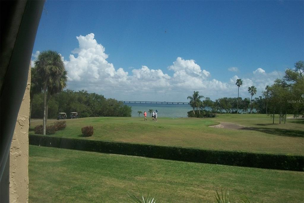 A view of a golf course green overlooking a bay with a bridge in the distance — 2616 COVE CAY DRIVE UNIT 207, CLEARWATER, FL