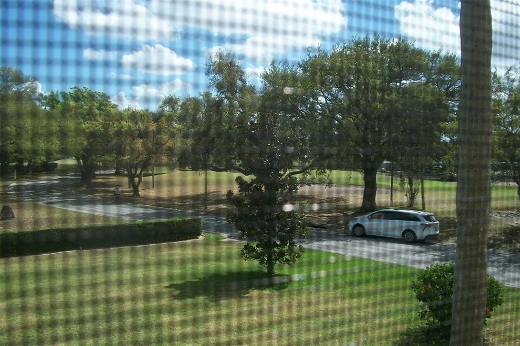 A view of a grassy lawn, trees, and a parked car seen through a window screen — 2616 COVE CAY DRIVE UNIT 207, CLEARWATER, FL