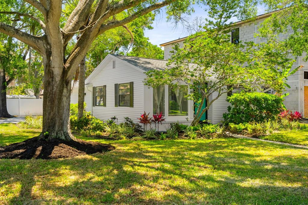 A white house with dark shutters sits behind a large tree on a grassy lawn — 2118 S VENUS STREET, TAMPA, FL