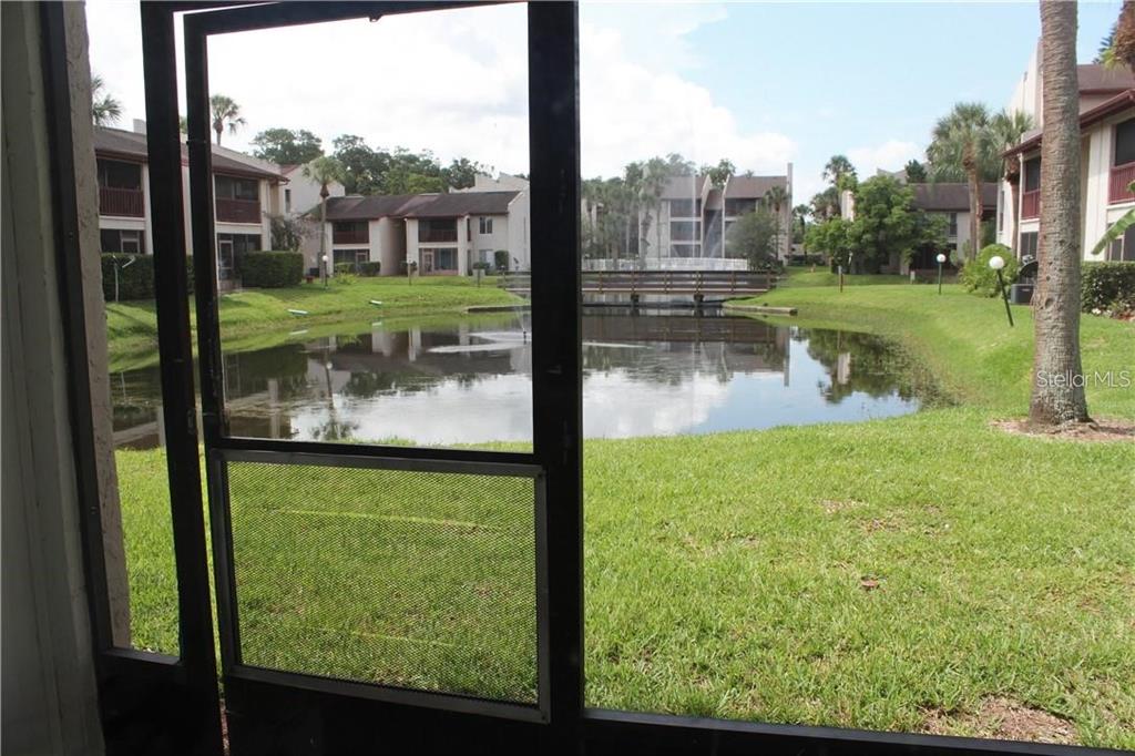 A view of a pond and wooden bridge from a screened-in patio — 3832 N LAKE DRIVE UNIT 116, TAMPA, FL