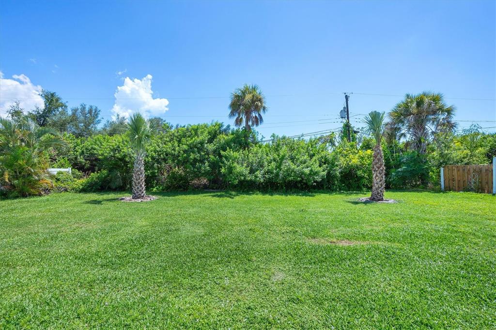 A grassy backyard features two palm trees and a dense hedge against a blue sky — 879 E 2ND STREET, ENGLEWOOD, FL