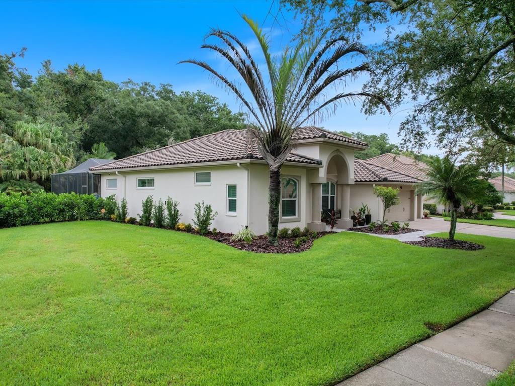 A single-story house with a tile roof, stucco exterior, and a palm tree in the yard — 4987 CROSS POINTE DRIVE, OLDSMAR, FL