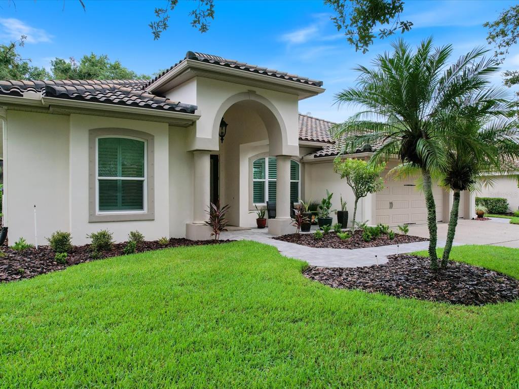 A single-story house with a tiled roof, arched entryway, and a palm tree in the yard — 4987 CROSS POINTE DRIVE, OLDSMAR, FL