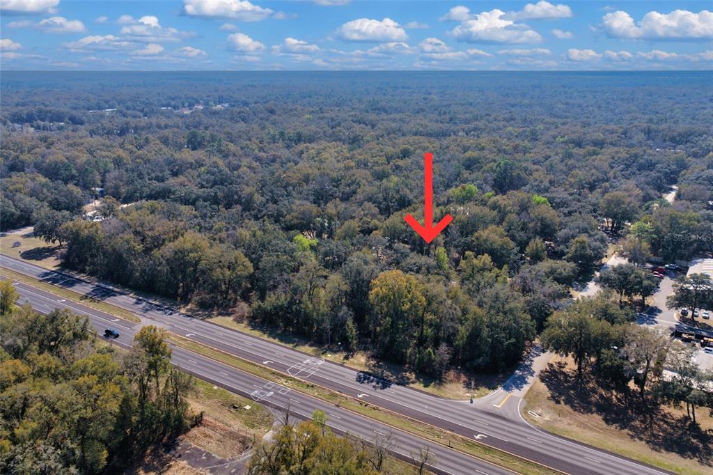 An aerial view shows a wooded lot marked by a red arrow near a highway — TBD 000 NW US HWY 19 N, CHIEFLAND, FL
