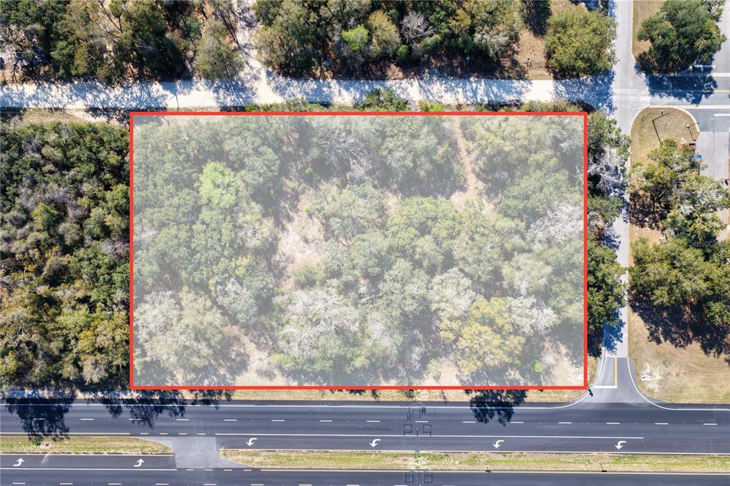An aerial view shows a rectangular, wooded plot of land bordered by a paved road — TBD 000 NW US HWY 19 N, CHIEFLAND, FL