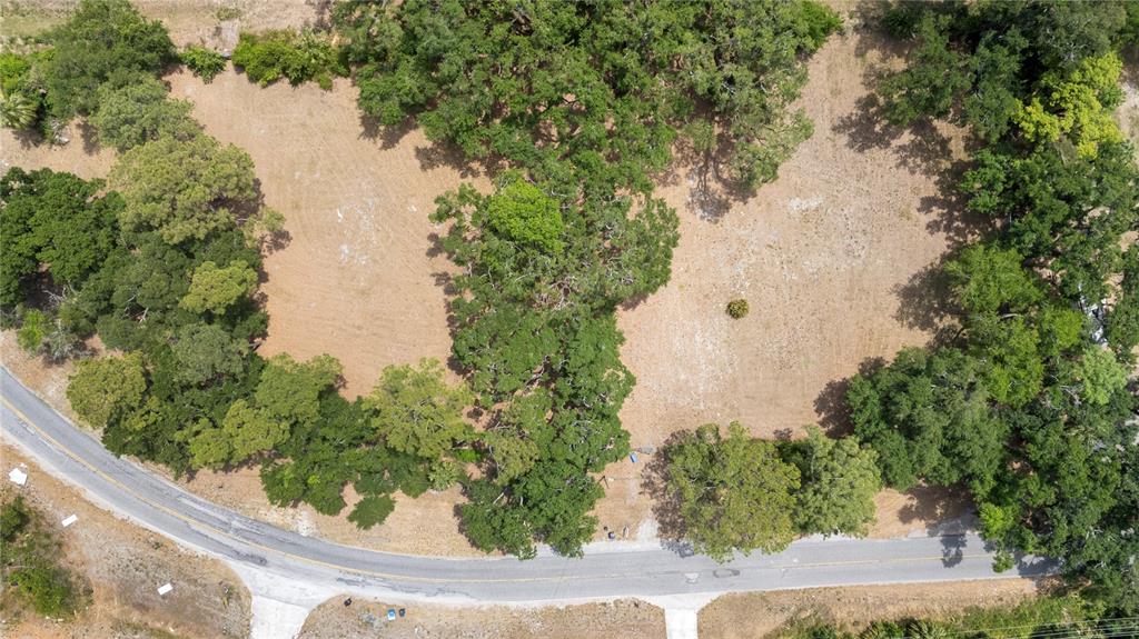 An aerial view shows a large, grassy lot surrounded by mature trees along a road — 5013 GARDEN LANE, TAMPA, FL