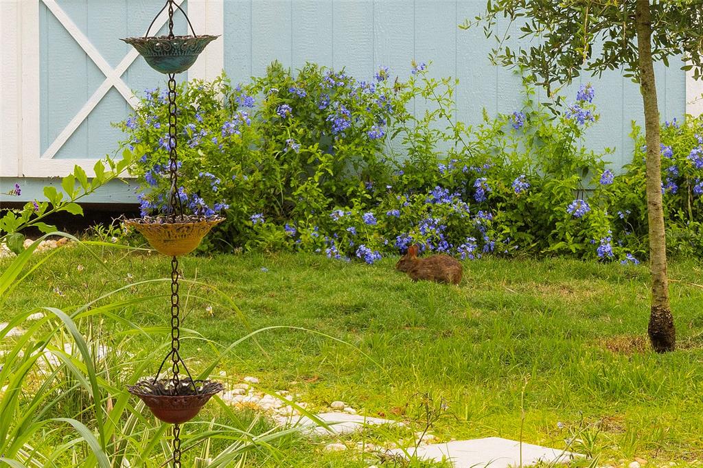 A brown rabbit sits on a grassy lawn in front of blue flowering shrubs — 17 ROCKWELL LANE, PALM COAST, FL