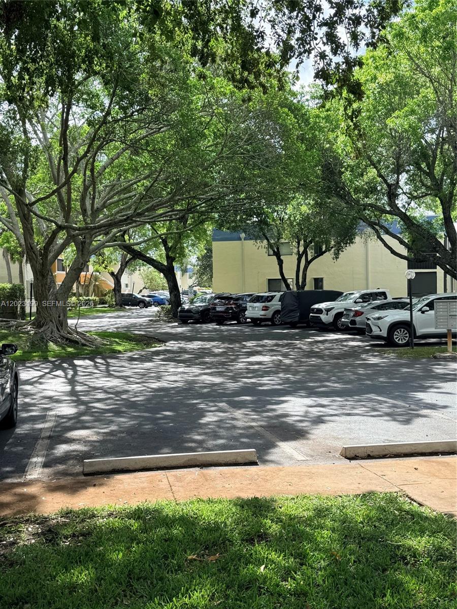 A parking lot with several cars parked under large trees in front of apartment buildings — 191 Lakeview Dr # 103, Weston FL 33326, WESTON, FL